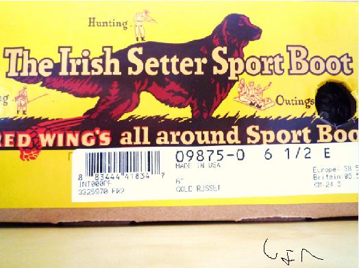 RED WING no.9875 アイリッシュセッター (エイジング日記付): 私